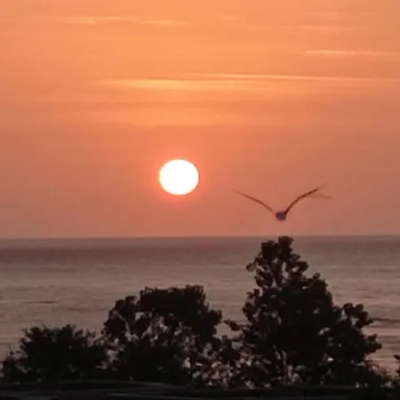 Lily - Sunrise Over The Sea - Sosopol